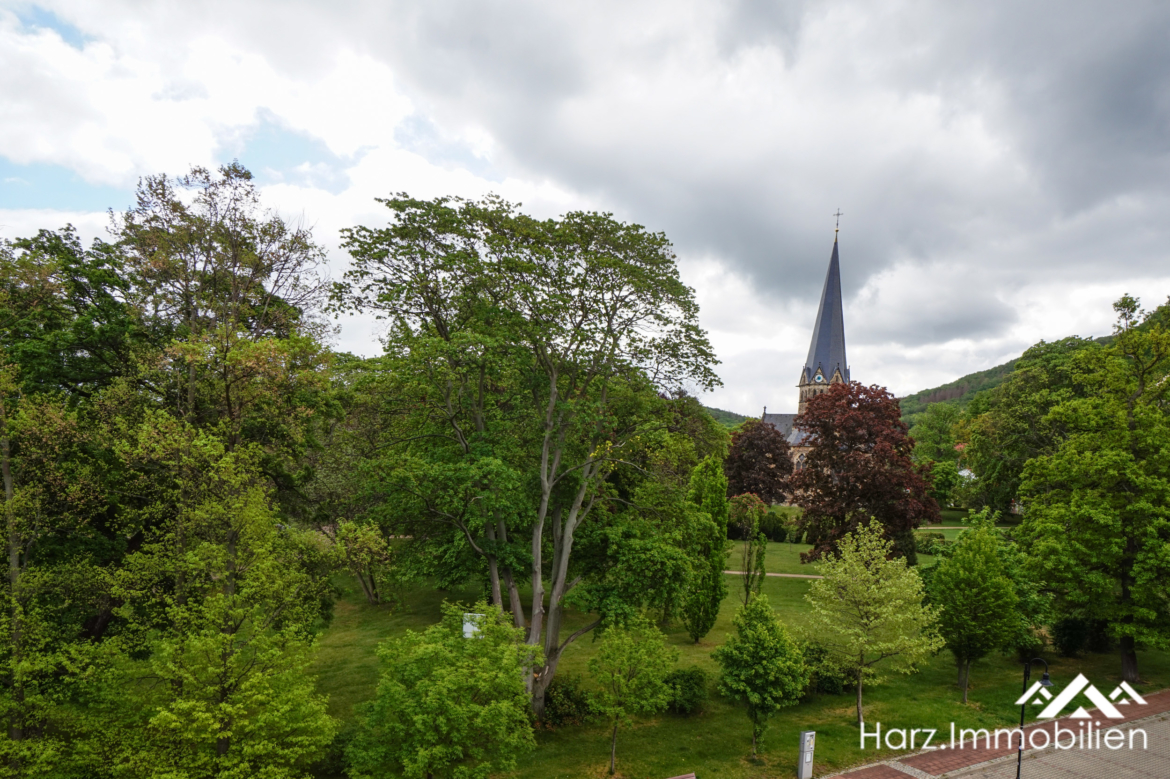 harz-immobilien-Thale-Parkstr-6-DSC04179-.jpg