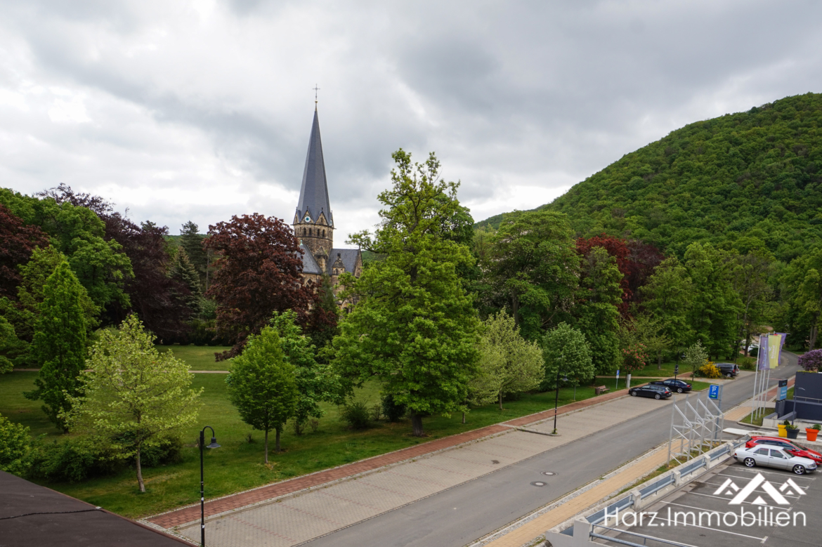 harz-immobilien-Thale-Parkstr-8-DSC04182-.jpg